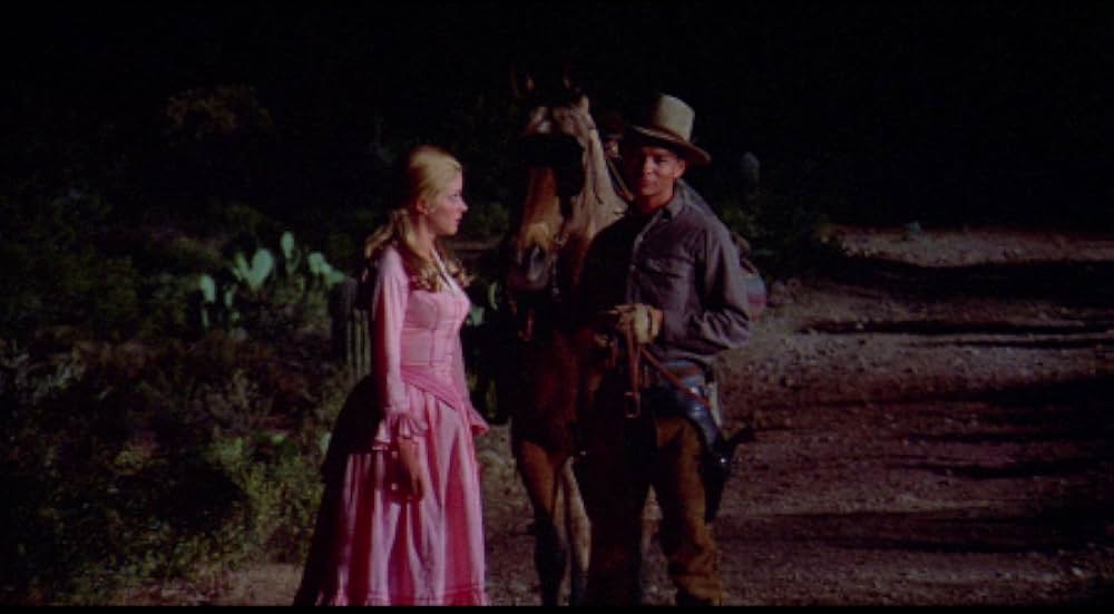 A Time for Dying（原題）の画像