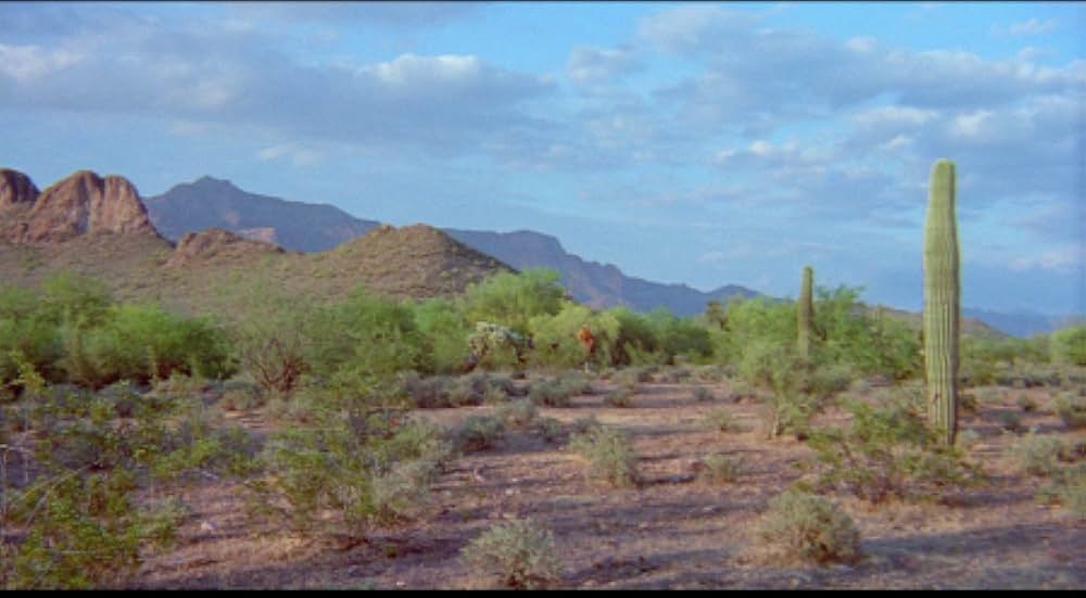 A Time for Dying（原題）の画像