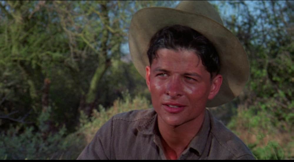 A Time for Dying（原題）の画像