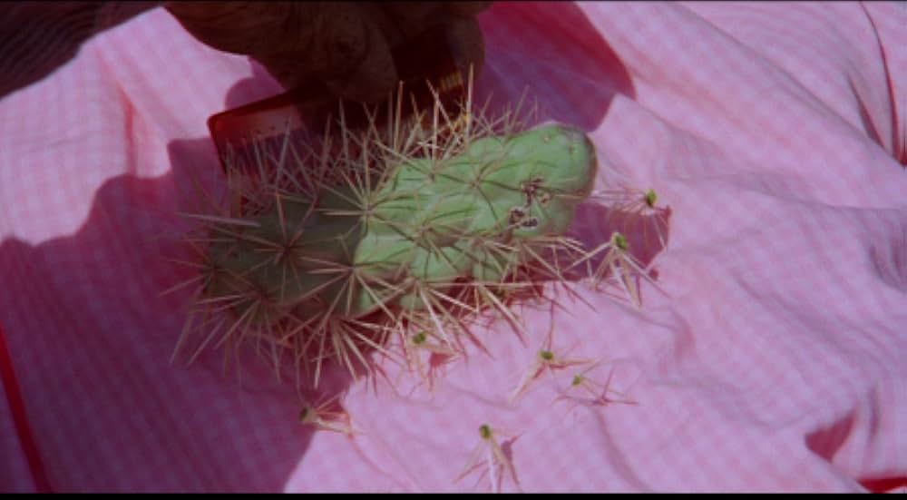 A Time for Dying（原題）の画像