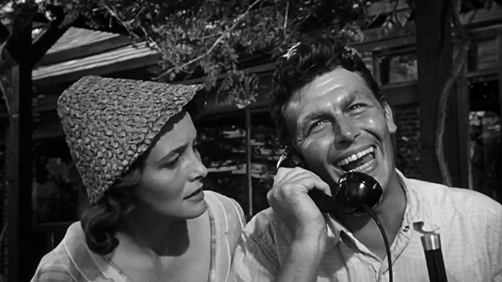 「群衆の中の一つの顔」アンディ・グリフィス & パトリシア・ニールの画像