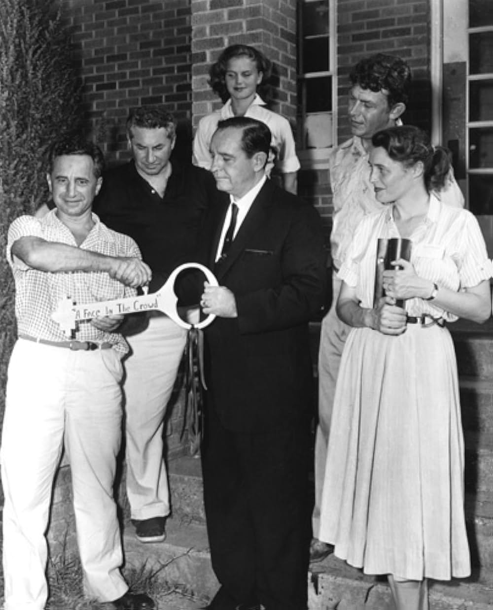 「群衆の中の一つの顔」の画像