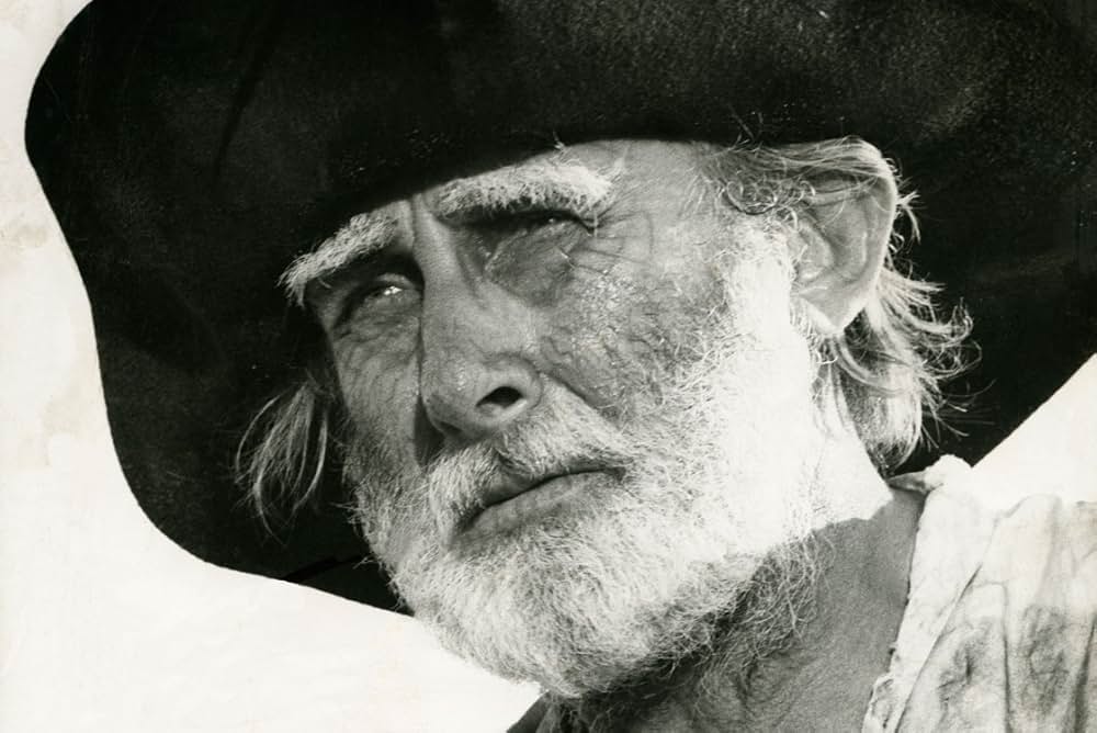 ピーター・セラーズのおとぼけパイレーツの画像