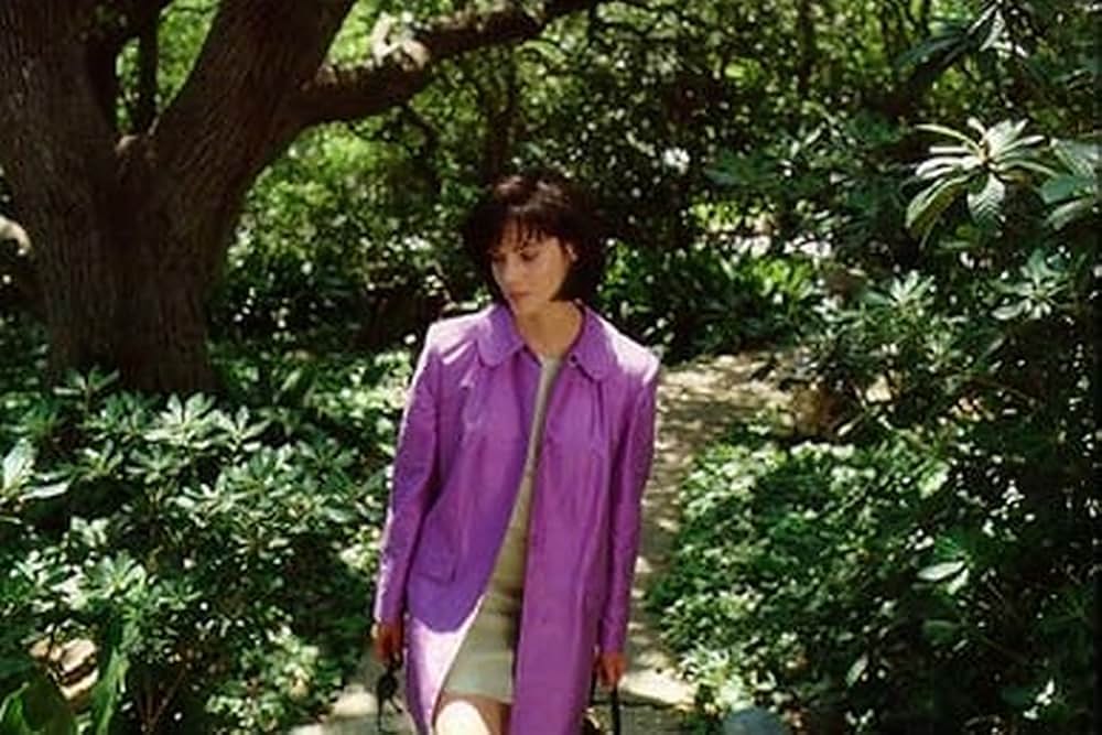 いつかあなたに逢う夢の画像