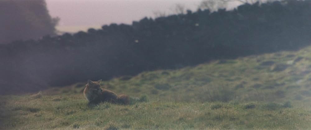 Starve Acre（原題）の画像