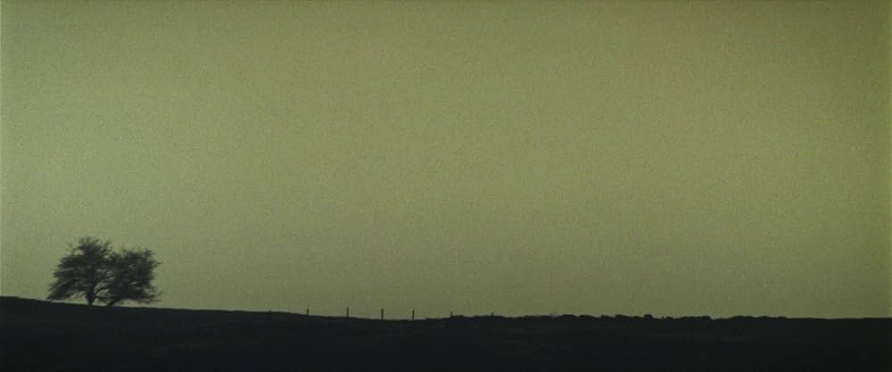「Starve Acre（原題）」の画像