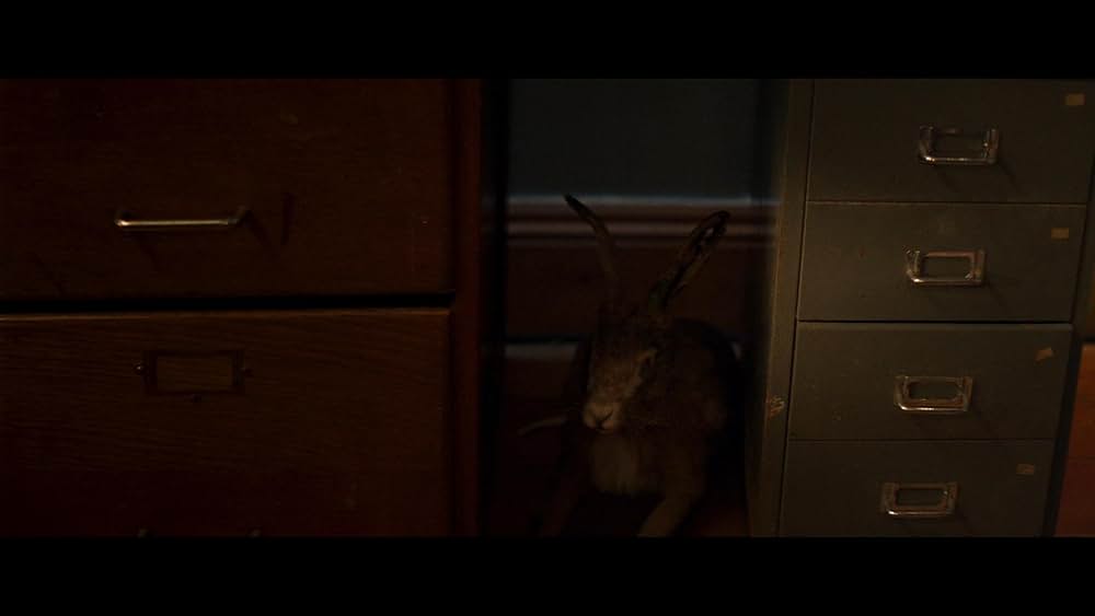 Starve Acre（原題）の画像