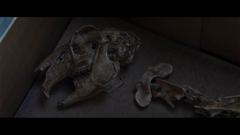 Starve Acre（原題）の画像