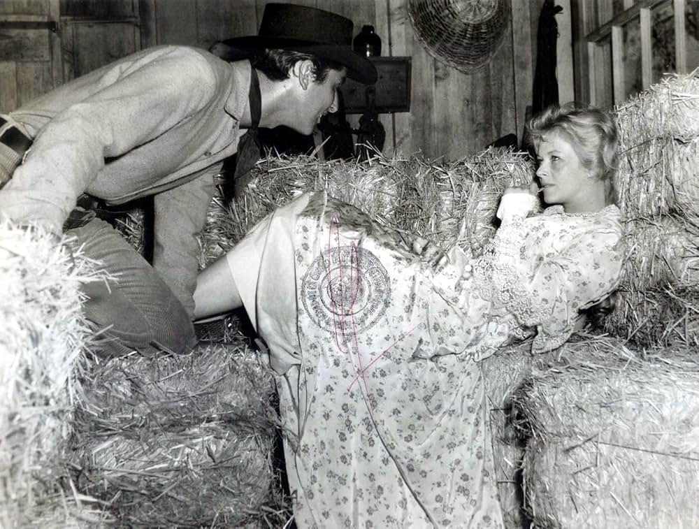 荒野の悪魔の画像