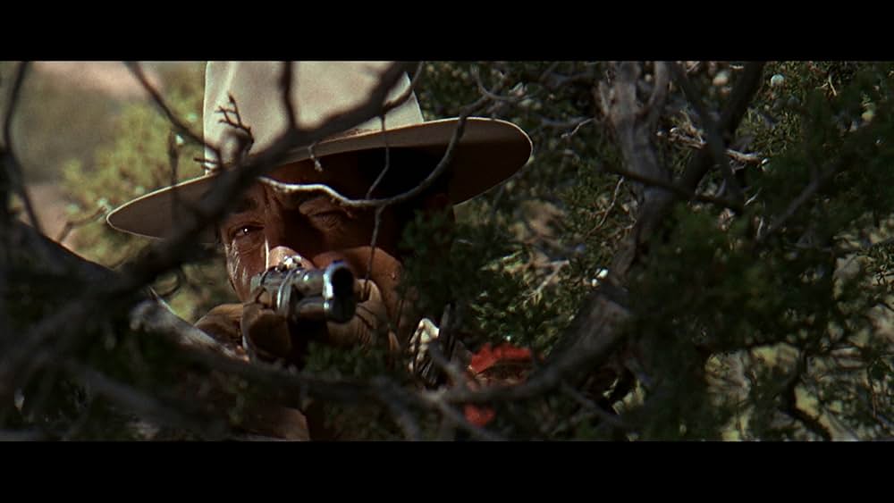 ジェリコの画像