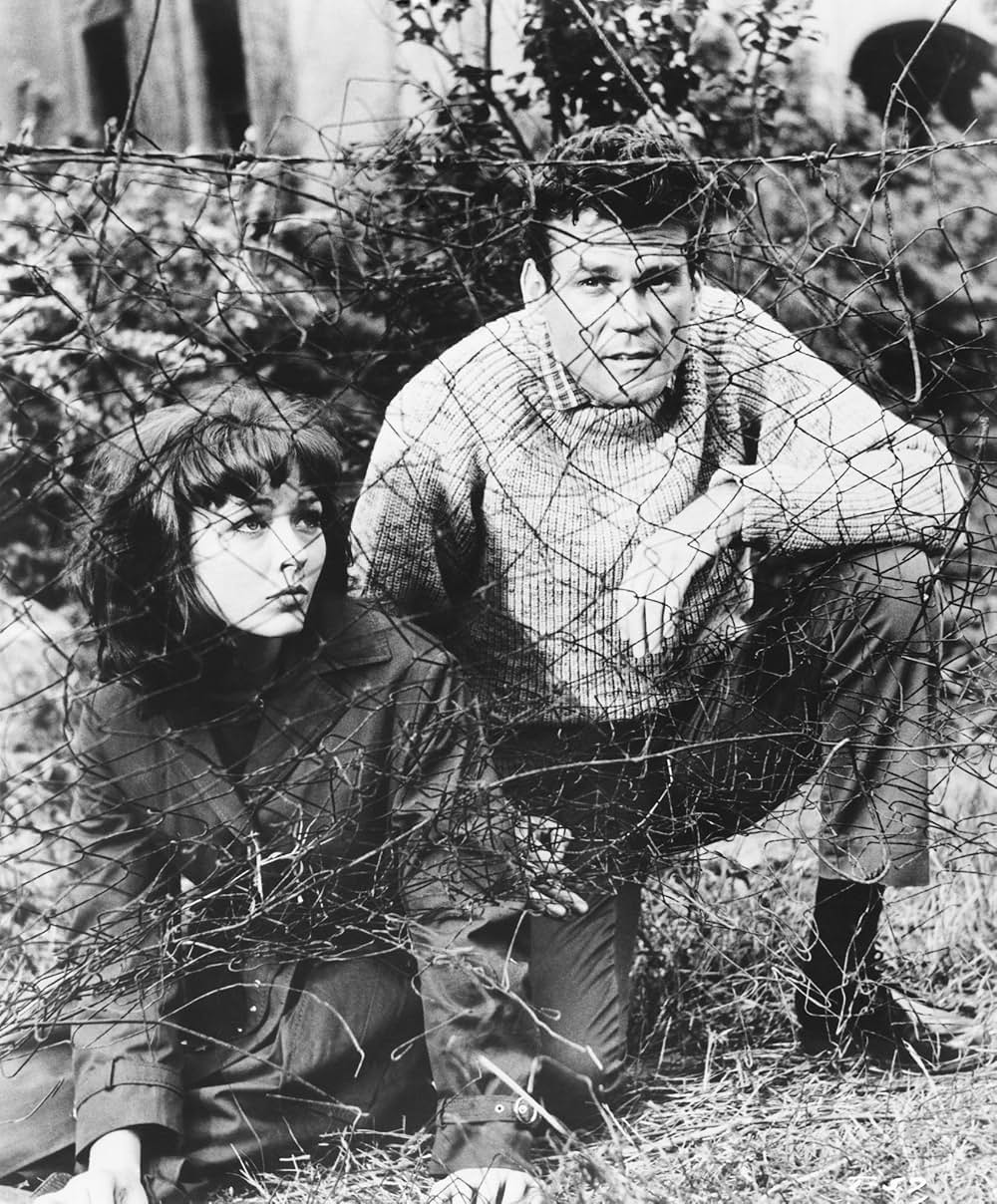 「地獄道28」の画像