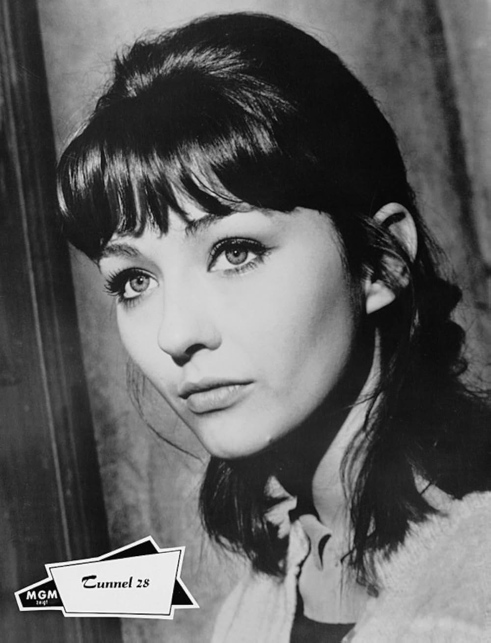 「地獄道28」の画像