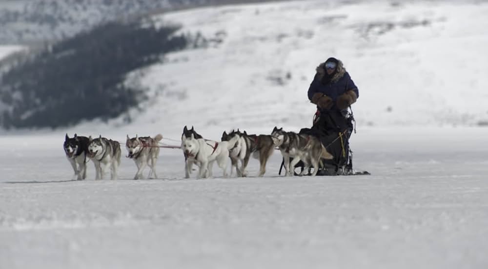 ディープブルー・ライジングの画像