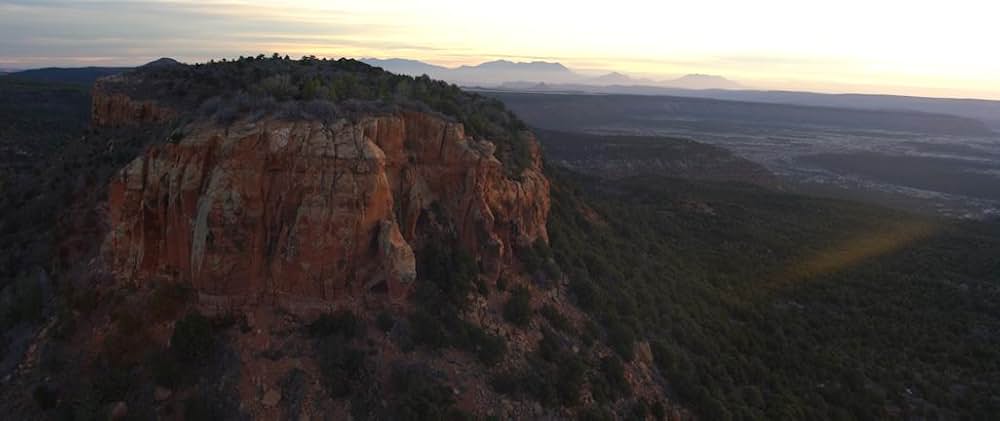 パブリック・トラストの画像