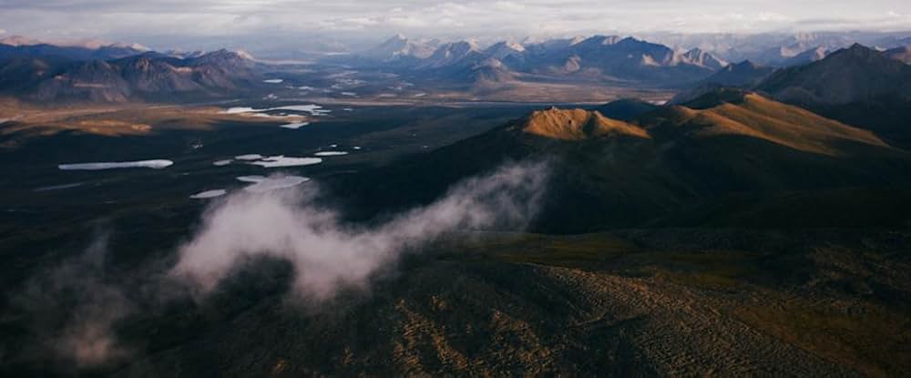パブリック・トラストの画像