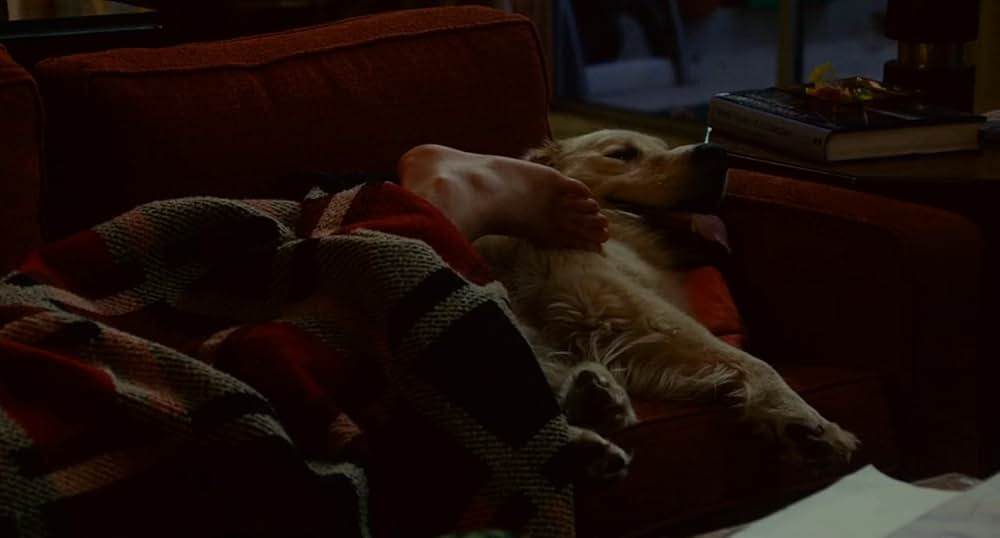 「もしも昨日が選べたら」の画像