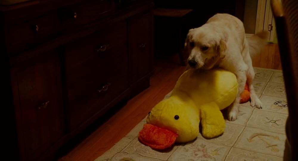 「もしも昨日が選べたら」の画像