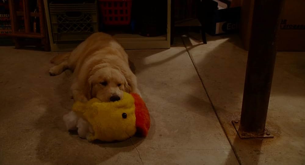 「もしも昨日が選べたら」の画像