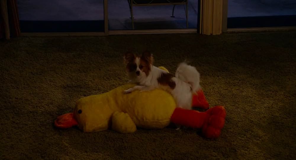 「もしも昨日が選べたら」の画像