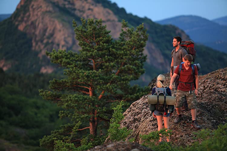 デッド・オア・リベンジの画像