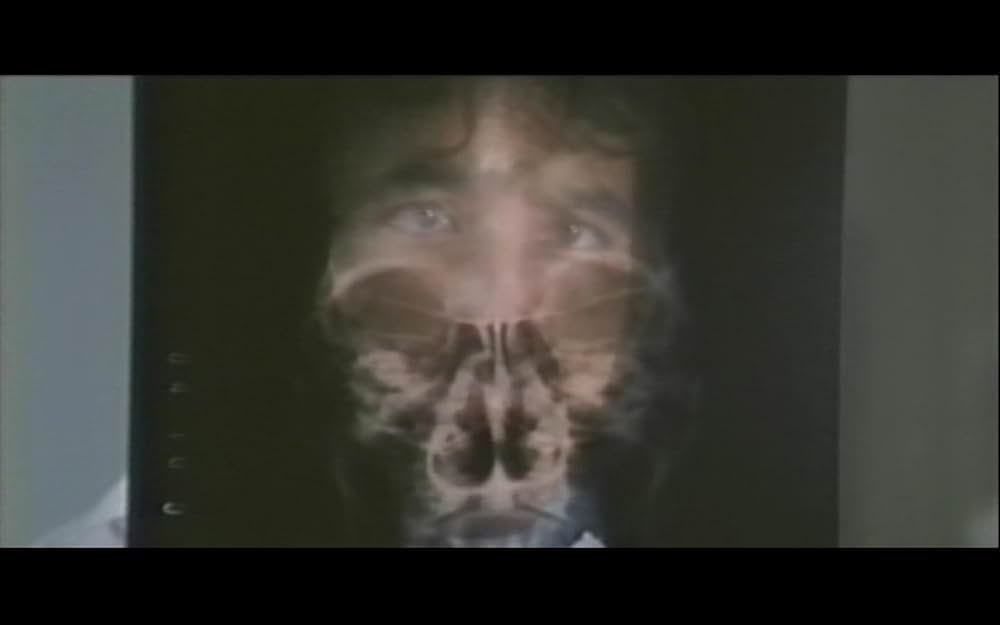 白い野望の画像