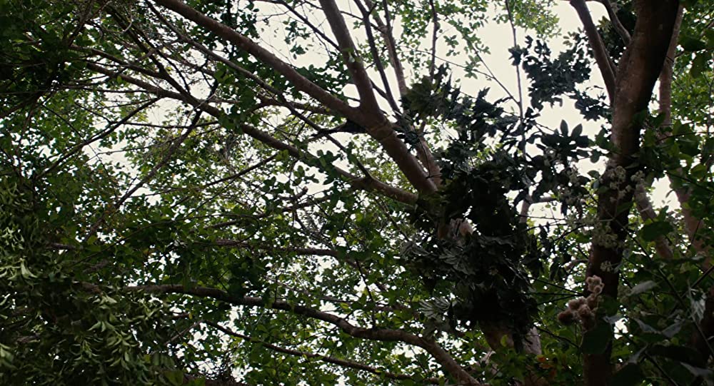 アポカリプトの画像