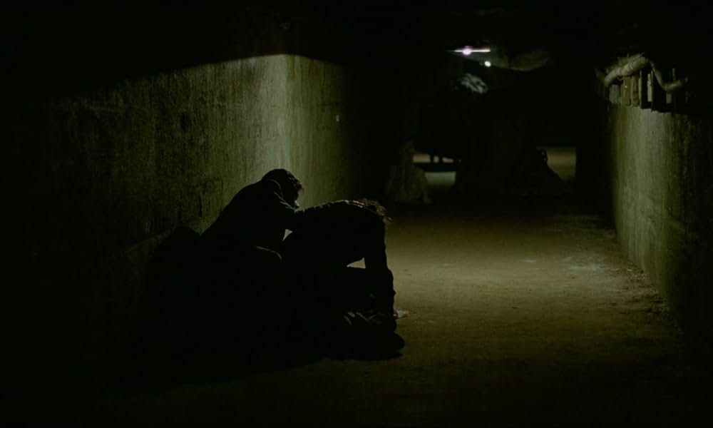 ブルータリストの画像