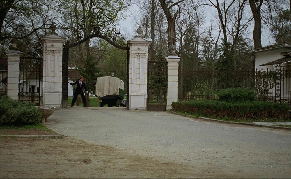 ブルータリストの画像