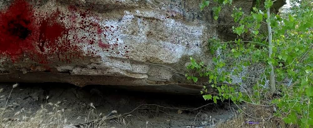 Space Sharksの画像