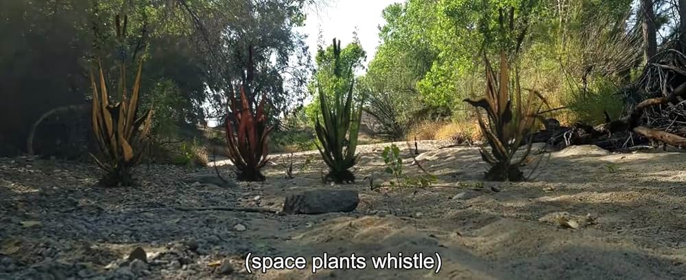 Space Sharksの画像