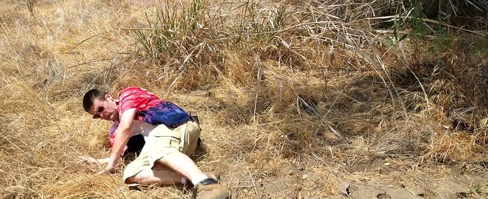 Space Sharksの画像