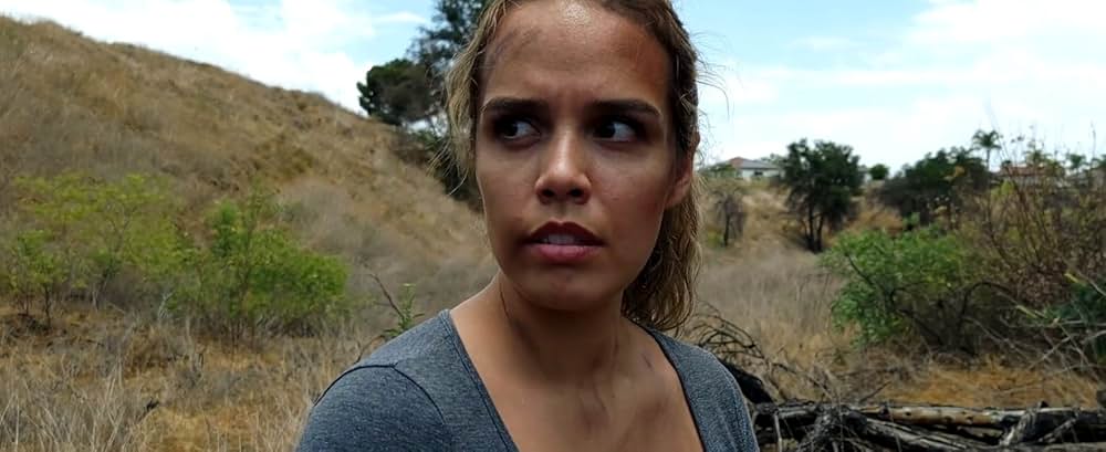 Space Sharksの画像