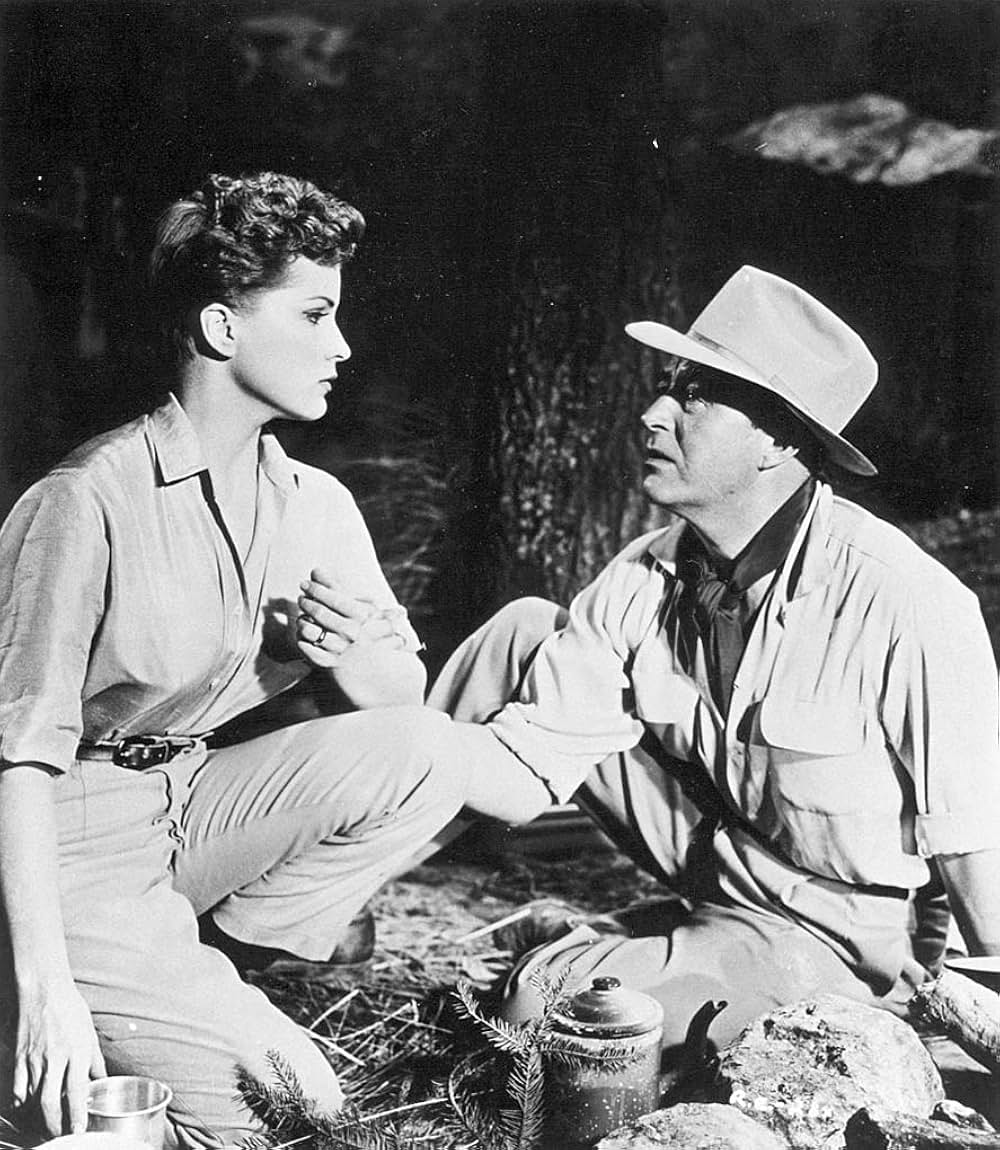 断崖の河の画像