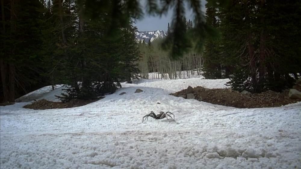 アイス・スパイダーの画像