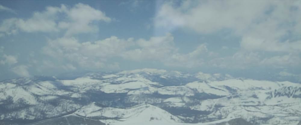 フライト・リスクの画像