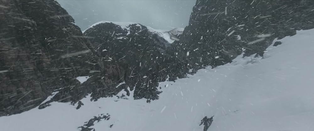 フライト・リスクの画像