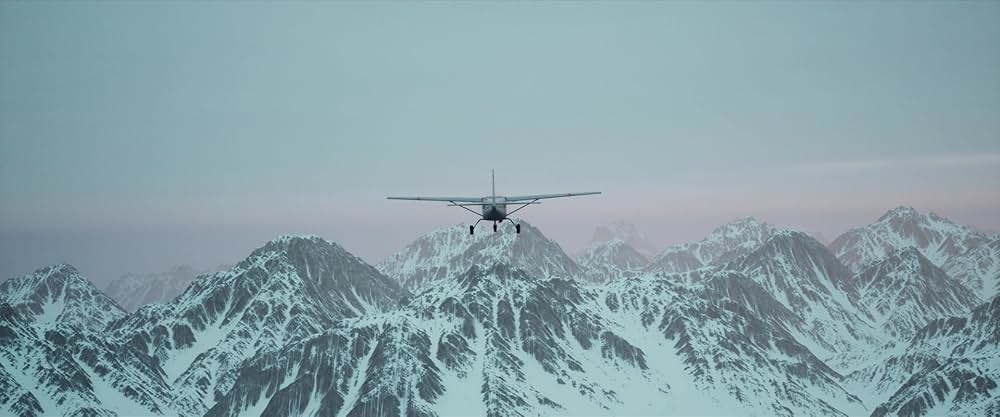 フライト・リスクの画像