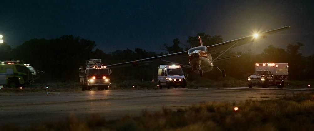 フライト・リスクの画像