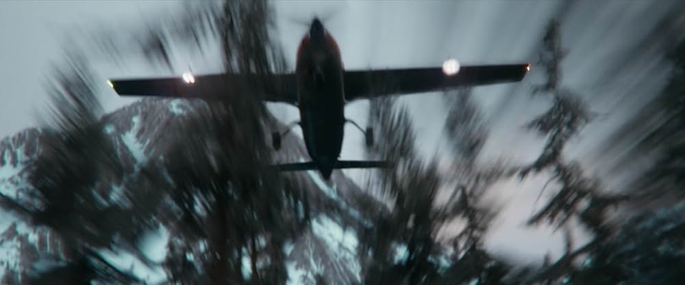 フライト・リスクの画像