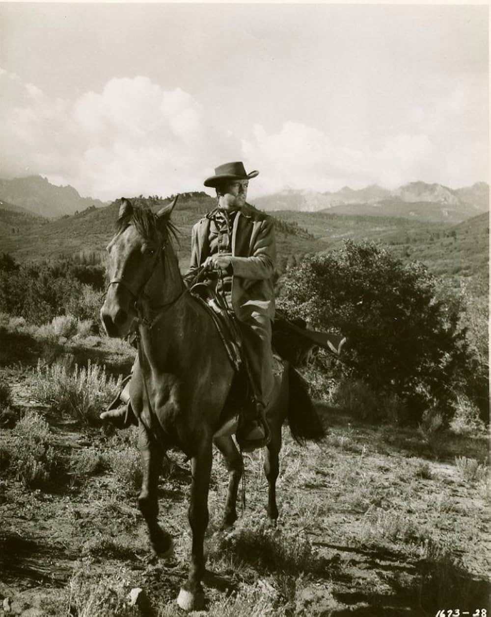 悪人への貢物の写真