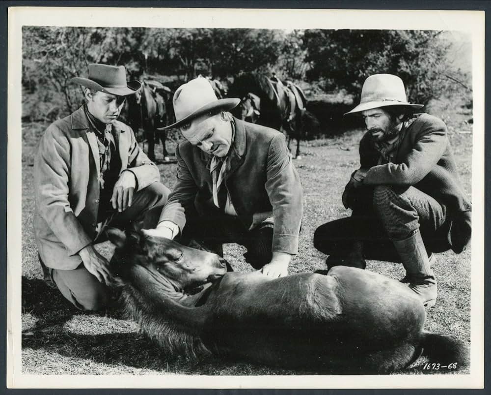 悪人への貢物の画像