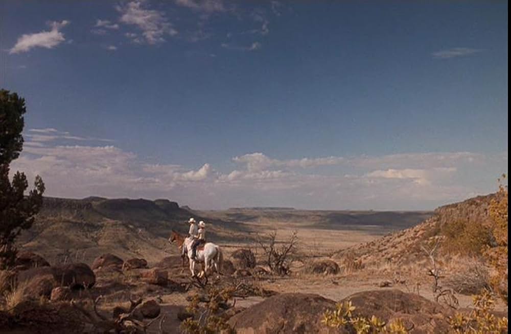 テキサス、ポップ81の画像