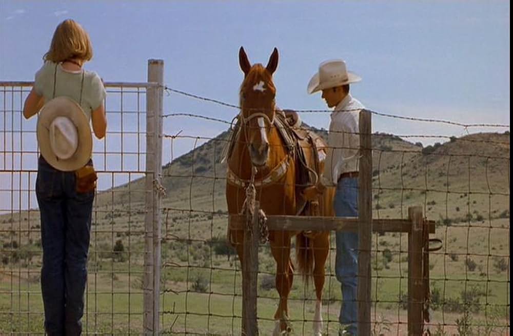 テキサス、ポップ81の画像