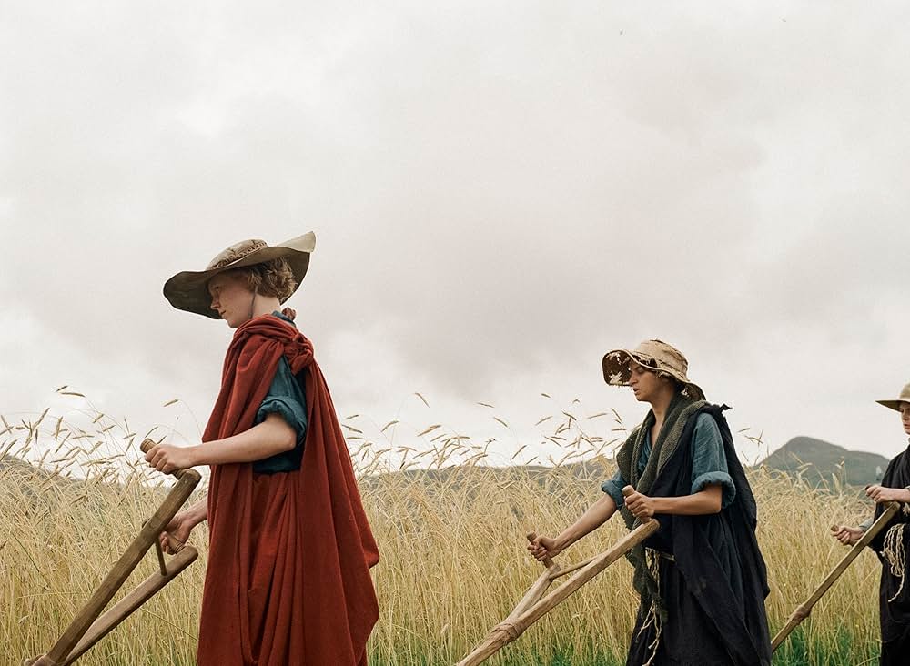 Harvest（原題）の画像