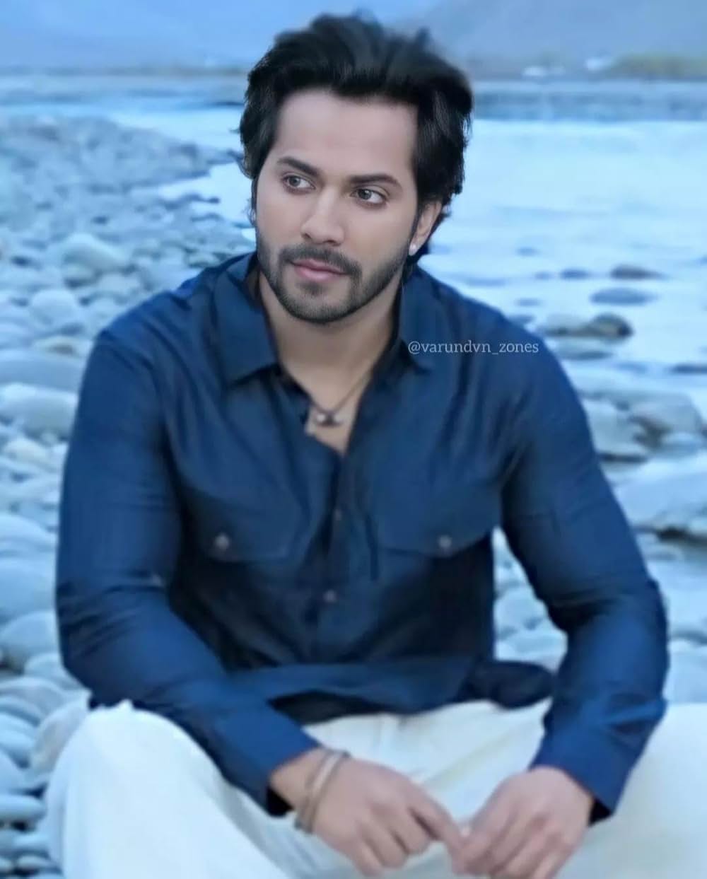 Kalank（原題）の画像