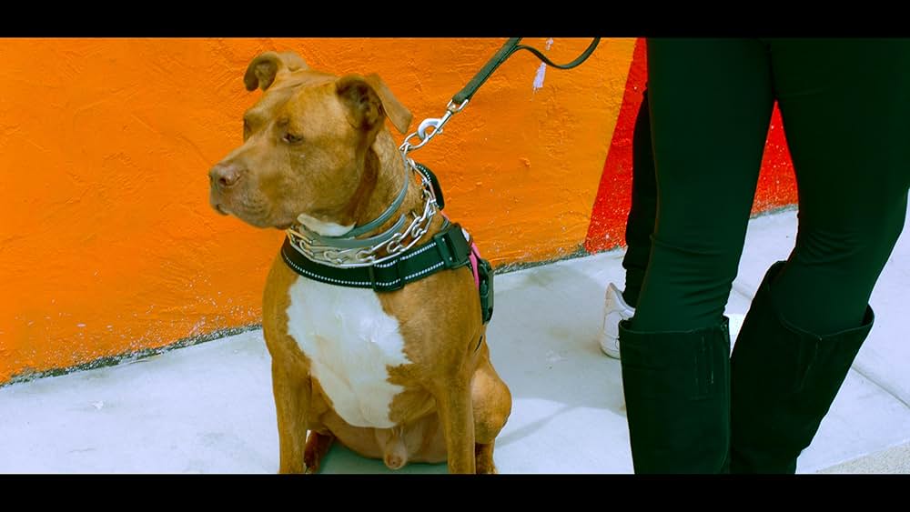 Piglady（原題）の画像