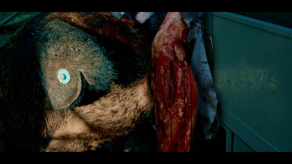 Piglady（原題）の画像