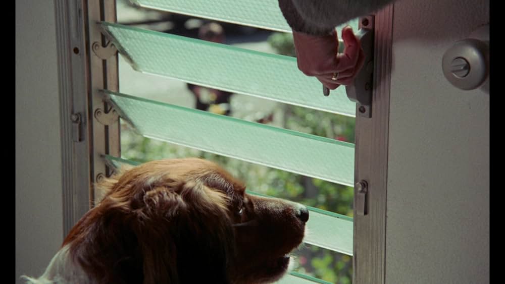 USAブルースの画像