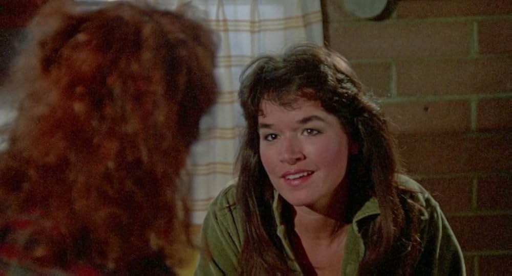 フォートレス・オブ・アメリカの画像