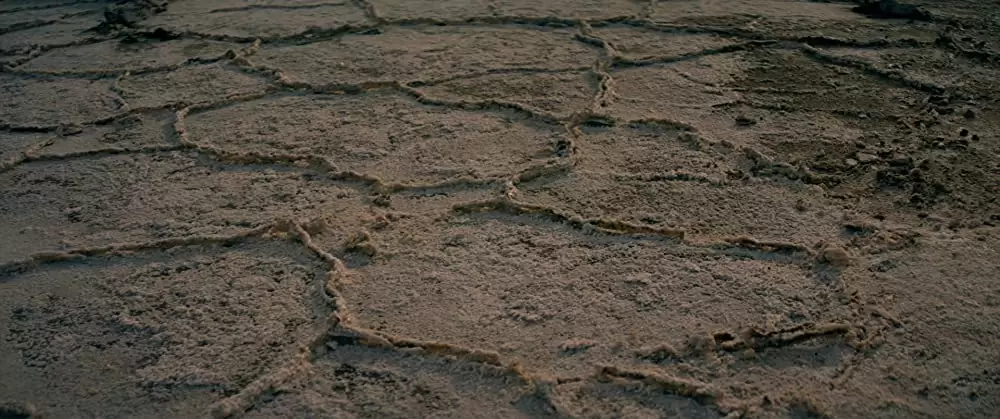 ネオン・デーモンの画像